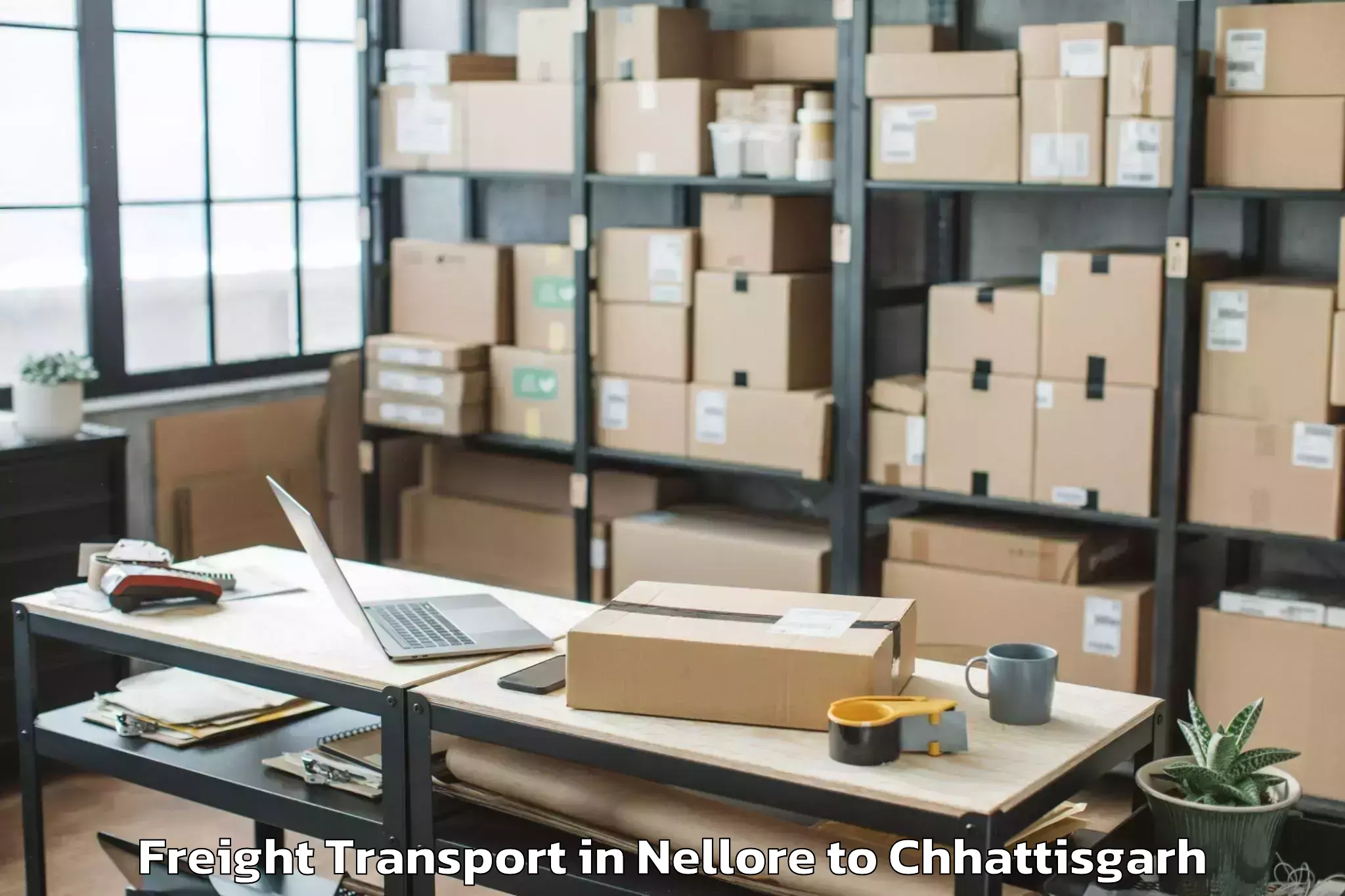 Affordable Nellore to Jaijaipur Freight Transport